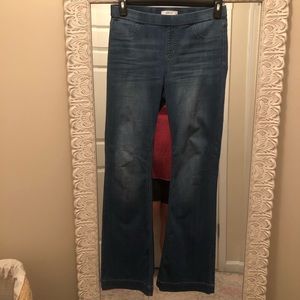 Cello bootcut pull-on jeans
